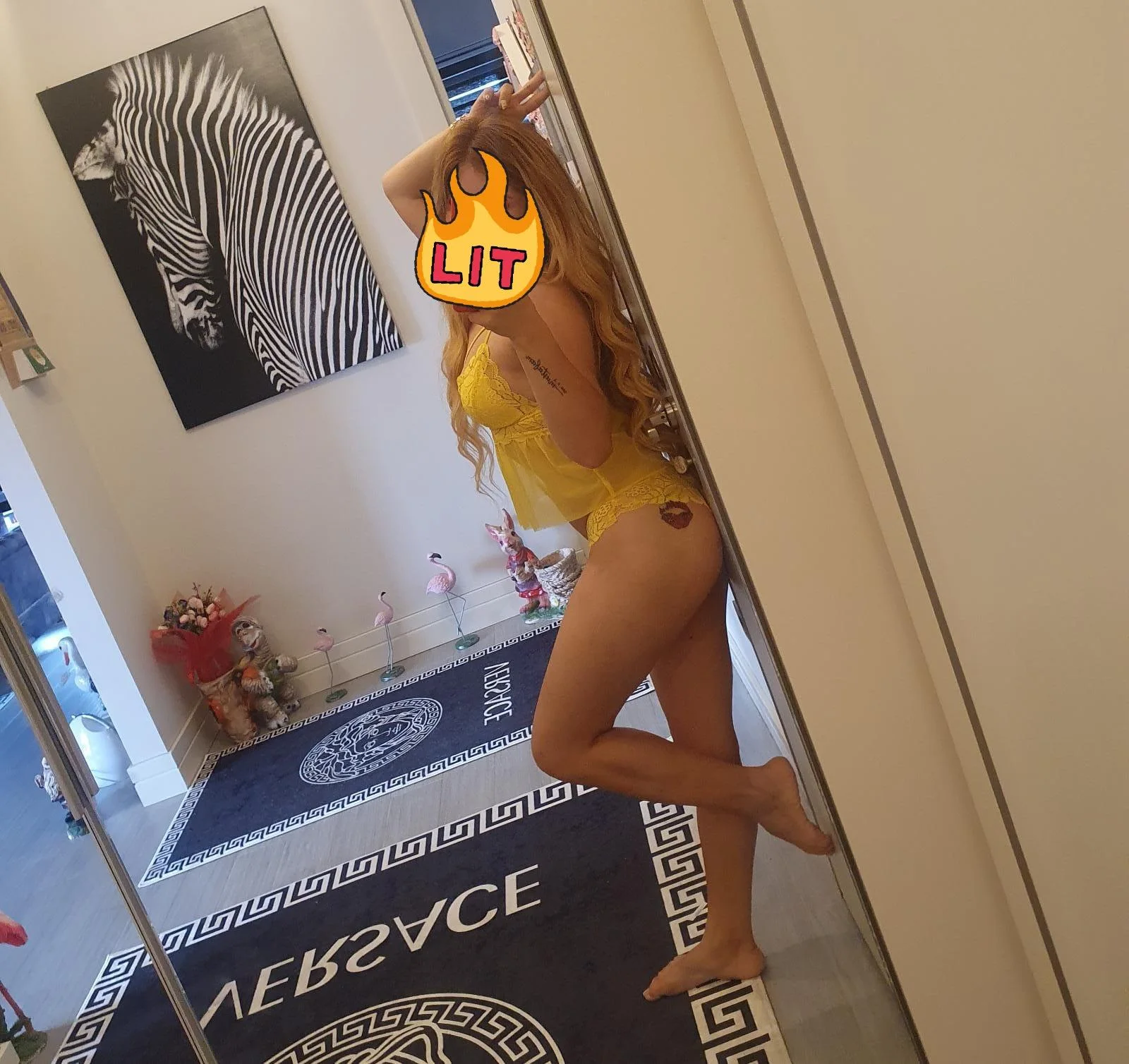 CANSU küçük görsel 2